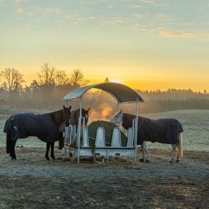 Fôrhekk med tak og tildekkedebogbøyler, for hest