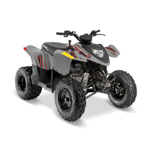 Polaris 2026 Phoenix 200 Grey